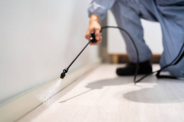 Licensed Termite Control service in Westville, OK - Nex Pest Control