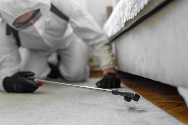 Professional Termite Control technician working in Westville, OK