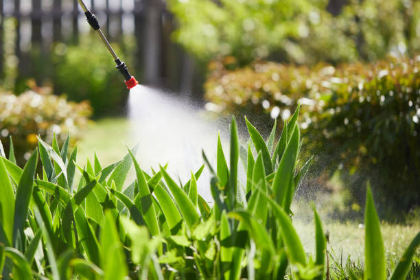 24/7 Emergency Termite Control experts in Westville, OK