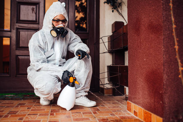 Reliable Termite Control contractor in Westville, OK by Nex Pest Control